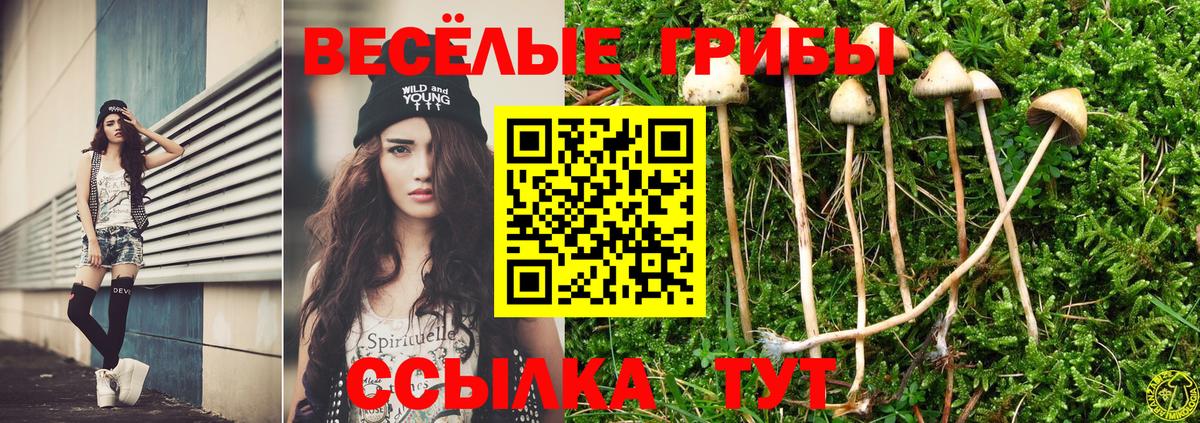 Торжок  Галлюциногенные грибы мухоморы  Псилоцибиновые грибы Psilocybe  Вход с VPN 